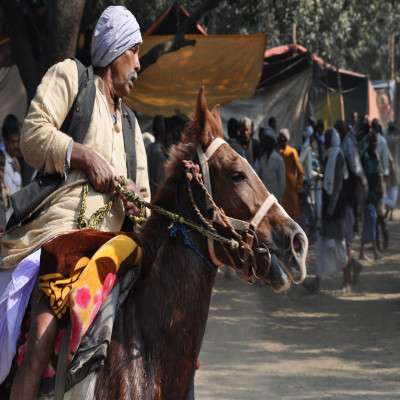 Sonepur Mela Tours